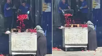 Zincir market kasalar dolusu domatesi çöpe döktü