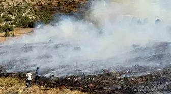 Adana'da Anız Yangını Ormana Sıçradı