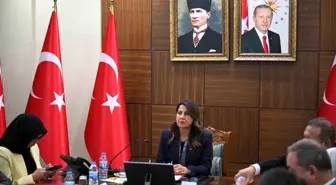 Diyarbakır'da Kadın Hizmetleri Bölgesel İstişare Toplantısı Gerçekleştirildi