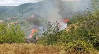 Balıkesir'de Yangın: 5 Dönüm Zarar Gördü