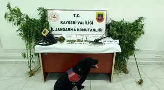 Kayseri'de Uyuşturucu Operasyonu: 38 Kök Kenevir ve 21 Tarihi Eser Ele Geçirildi