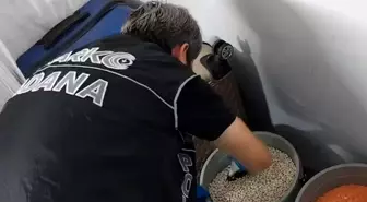 Adana'da Uyuşturucu Operasyonunda 7 Gözaltı