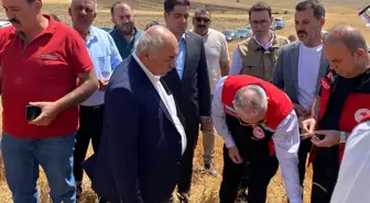 AK Parti Kayseri İl Başkanı'ndan Çiftçilere Kuraklık Desteği Çağrısı