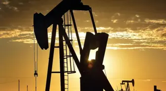 Petrolde müjde gibi tahmin! Türkiye'de bir çok ürünün fiyatı etkilenecek