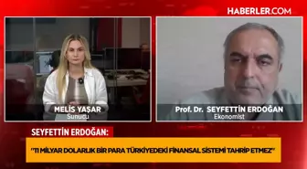 Prof. Dr. Seyfettin Erdoğan: 11 milyar dolar Türkiye'de finansal sistemi tahrip etmez