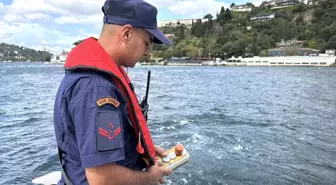 İstanbul'da Kaybolan Rus Yüzücü İçin Arama Çalışmaları Devam Ediyor