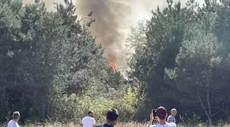 Sakarya'nın Akyazı İlçesinde Orman Yangını