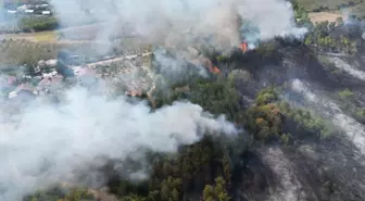 Sakarya'da Orman Yangını Kontrol Altına Alındı