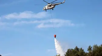 Sakarya'da Orman Yangını Kontrol Altına Alındı