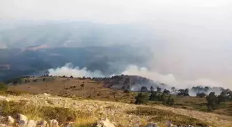 Amasya'da Orman Yangını: Ekipler Müdahale Ediyor
