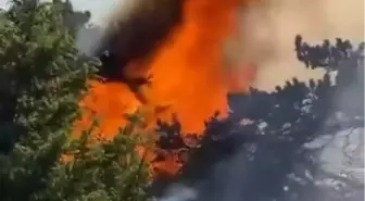 Amasya'da Orman Yangını Başladı, Müdahale Devam Ediyor