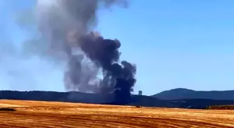 Bursa'nın Yenişehir İlçesinde Orman Yangını Çıktı