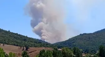 Bursa'nın Yenişehir ilçesinde orman yangını