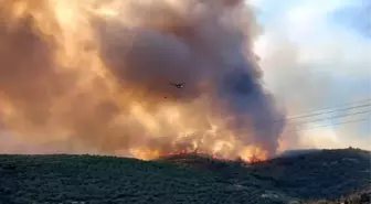 Bursa'nın Yenişehir İlçesinde Orman Yangınına Hava ve Kara Mücadelesi