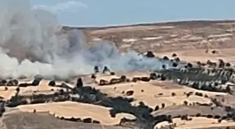 Çanakkale'de Tarım Arazisinde Yangın Çıktı