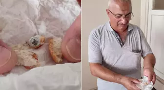 Ekmekten öyle bir şey çıktı ki! Neredeyse dişini kaybedecekti
