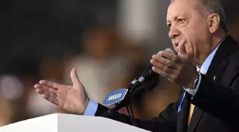 Erdoğan'ın 'Tepelerine bineceğiz' sözlerinin ardından İstanbul'da çetelere operasyon