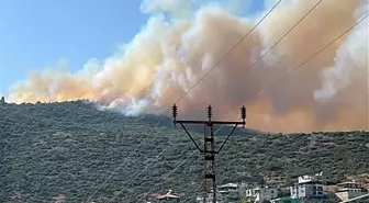 Hatay'da Habib-i Neccar Dağı'nda Orman Yangını