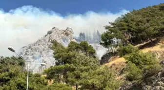 Hatay'da Orman Yangınına Müdahale Devam Ediyor