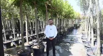 Kağıthane Belediyesi 50 Bin Ağaç Dikti