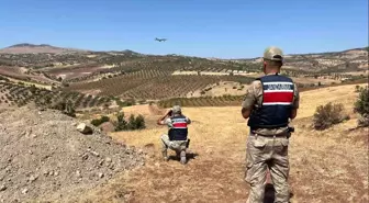 Kaybolan 12 Küçükbaş Hayvan Bulundu