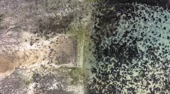 Konya Ovası'nda Su Seviyeleri Kritik Düzeye Geriledi