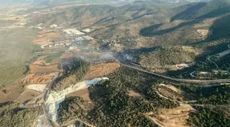 Muğla'da Zirai Alanda Yangın Kontrol Altına Alındı