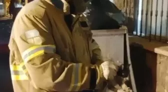 Ayvalık'ta Yavru Kedi Otomobilin Motorundan Kurtarıldı