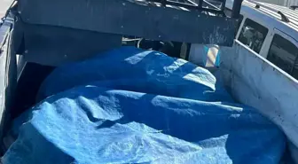 Hatay'da Kaçak Göçmen Operasyonu: 14 Göçmen Yakalandı