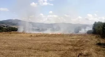 Samsun Kavak'ta Anız Yangını Kontrol Altına Alındı