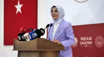 Türkiye'de yaşlı nüfus oranı yüzde 10,6 seviyesine ulaştı