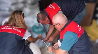 Kırklareli'de 65 Ton Sahte Gübre İnceleme Altında