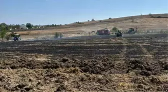 Kaynarca'da Anız Yangını: 20 Dönüm Tarım Arazisi Küllere Dönüştü