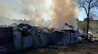 Sakarya'da Samanlıkta Yangın Çıktı