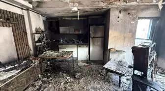 Kedi Raşo, Yangında Sahibinin Hayatını Kurtardı