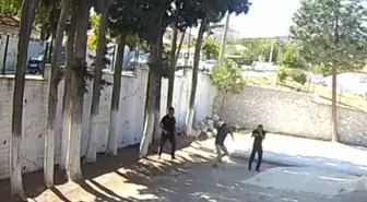 Belediye Başkanı Zabıta Memurlarını Sopayla Darbetti