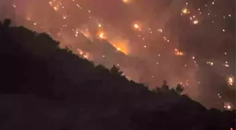 Denizli'deki Yangın Aydın'a Sıçradı