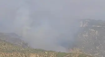 Denizli'deki Orman Yangını Aydın'a Sıçradı, Uçak Zorunlu İniş Yaparak Kaza Geçirdi