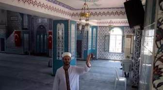 Hatay'daki Cami Kuşlarına Misafirperverlik