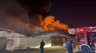 Sakarya'da Boya Fabrikasında Yangın Çıktı