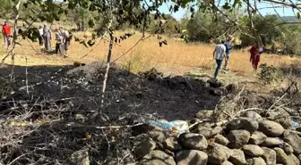 Balıkesir'de Ot Yangını Kısa Sürede Söndürüldü