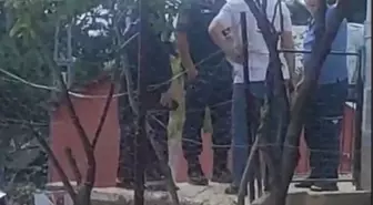 Tartışma Sonrası Kiracı Sopayla Öldürüldü