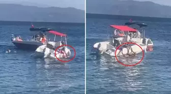 Muhtarın kullandığı sürat teknesi yaşlı kadına çarptı, kemiği kırılıp dışarı çıktı