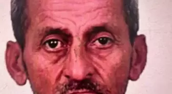 Sokak Hayvanlarını Zehirleyen Kişi Tutuklandı