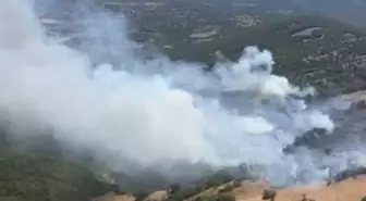 Balıkesir'de Tarım Arazisinde Yangın Ormana Sıçradı