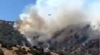Denizli'de Orman Yangını Devam Ediyor, Dozer Operatörü Yaralandı