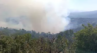 Denizli'deki Orman Yangını 3 Gündür Kontrol Altına Alınamıyor
