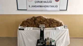 Çorum'da Kaçak Tütün Operasyonu: Bin 620 Makaron Ele Geçirildi