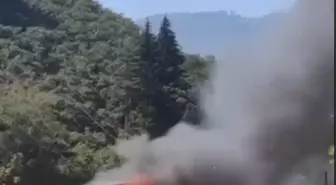 Kuzalan Tabiat Parkı'ndaki Yangın Restoran ve Kafeyi Kül Etti