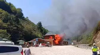 Giresun'daki Kuzalan Tabiat Parkı'nda Yangın: Sosyal Tesisler Kül Oldu